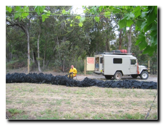 09 Gabor der Netzflechter